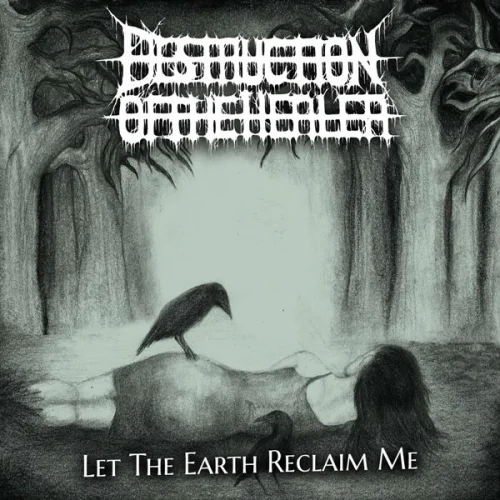 Destruction Of The Healer - Let the Earth Reclaim Me (2022)