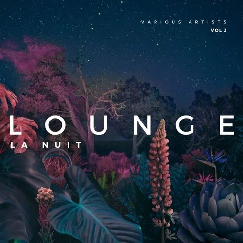 Lounge La Nuit [Vol. 3] (2022)