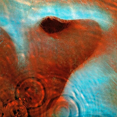 Pink Floyd - Meddle (1971)