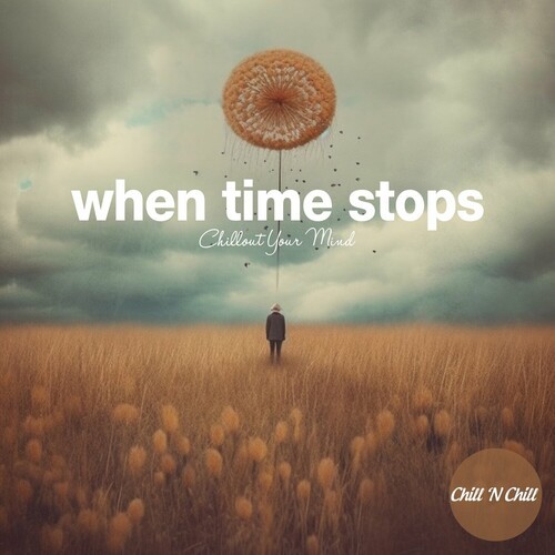 VA - When Time Stops: Chillout Your Mind (2025) FLAC