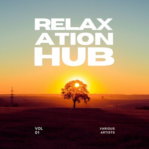 VA - Relaxation Hub [Vol. 1] (2024) FLAC