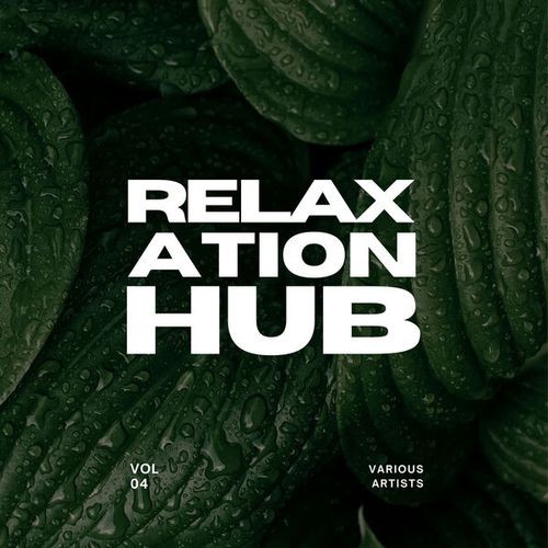 VA - Relaxation Hub [Vol. 4] (2025) FLAC