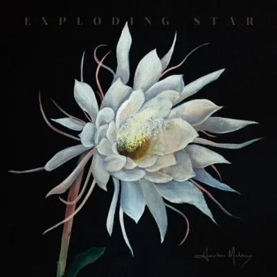 Heather Maloney - Exploding Star [24-bit Hi-Res] (2025) FLAC
